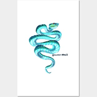 Blue Viper Posters and Art